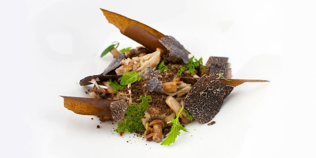 Mushrooms, truffle and "forest floor"